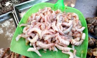 青岛螃蟹多少钱一斤